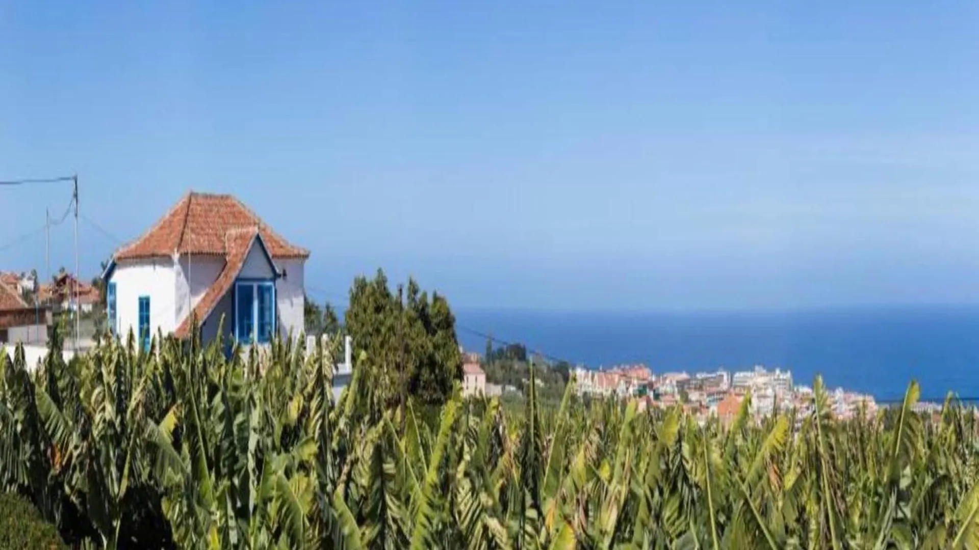 Vakantiehuis Belvilla By Oyo Casita Orotava, Cleaning Included La Orotava